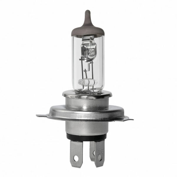 Крушка Magneti Marelli